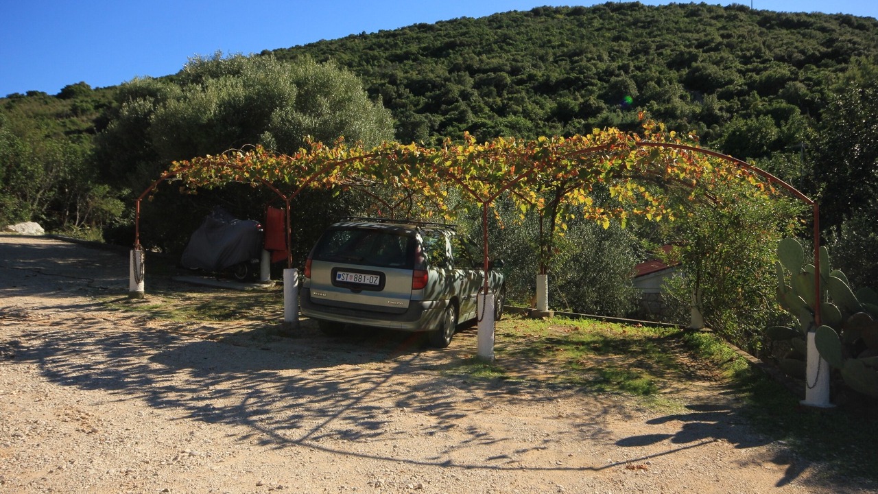 Photo of Others in Cove Rogacic