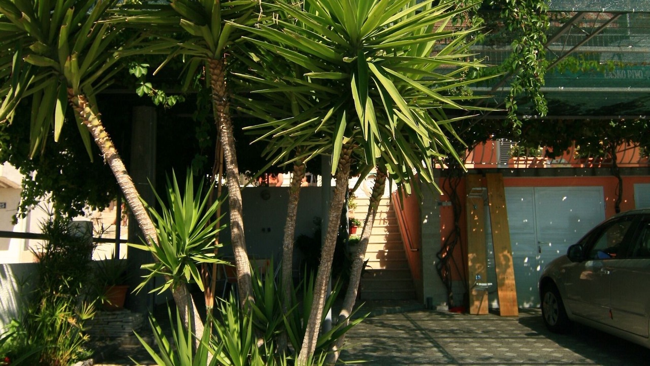 Photo of Outdoor in Dugi Rat