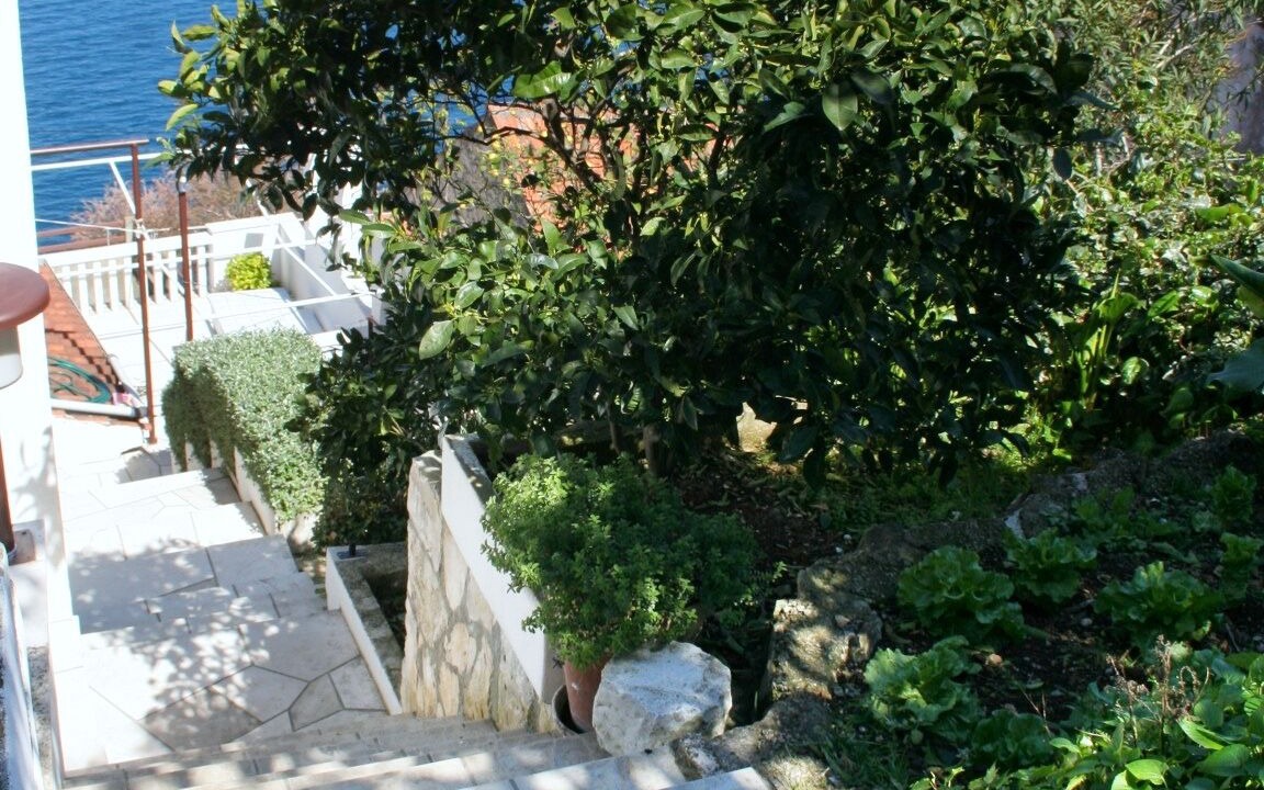 Photo of Outdoor in Racisce
