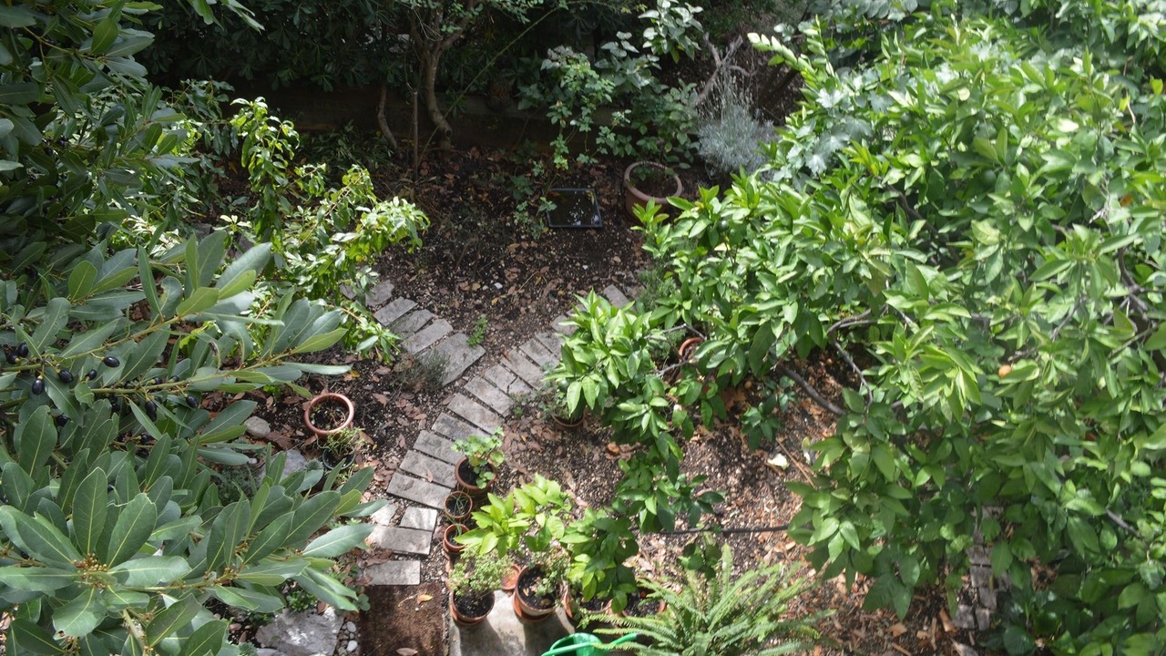 Photo of Outdoor in Ratac