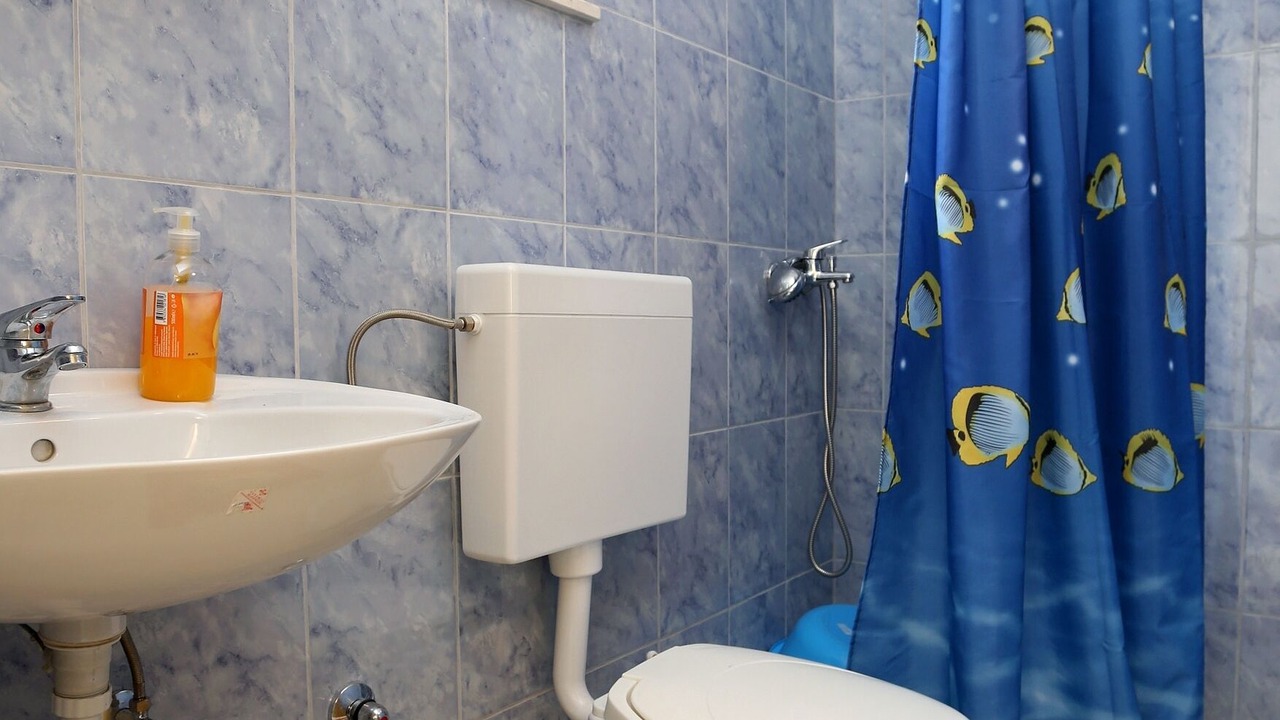 Photo of Bathroom in Putnikovic