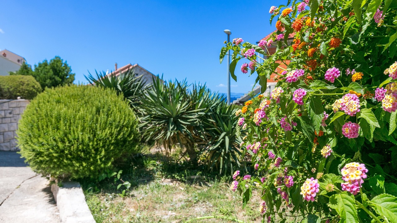 Photo of Outdoor in Postira