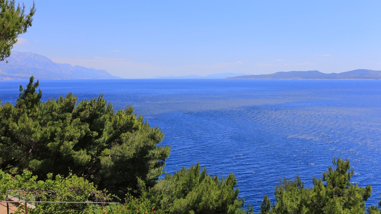 Photo of Others in Marusici