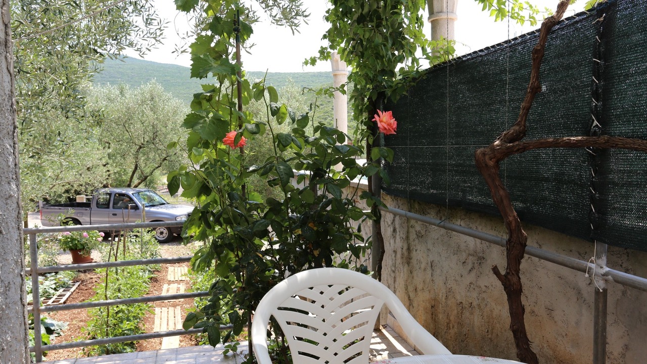 Photo of Others in Dubrava