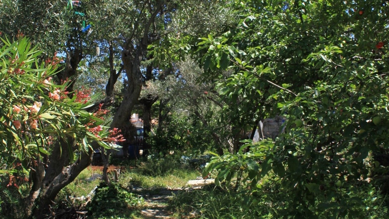 Photo of Outdoor in Valun
