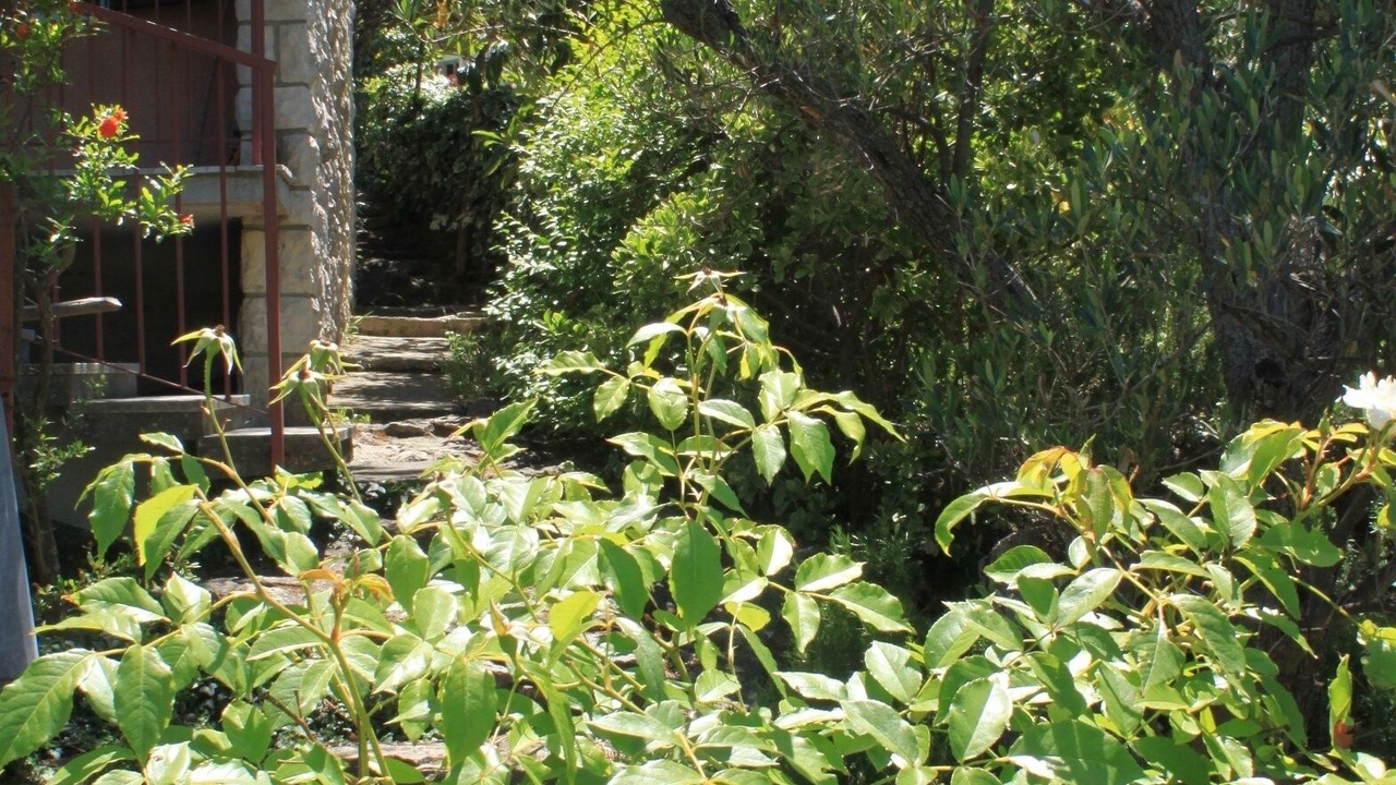 Photo of Outdoor in Valun