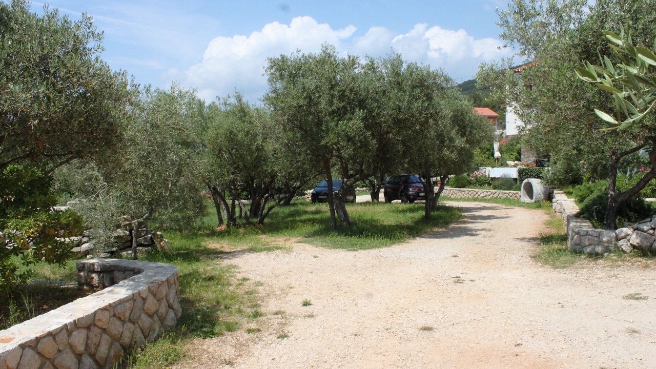 Photo of Others in Cres
