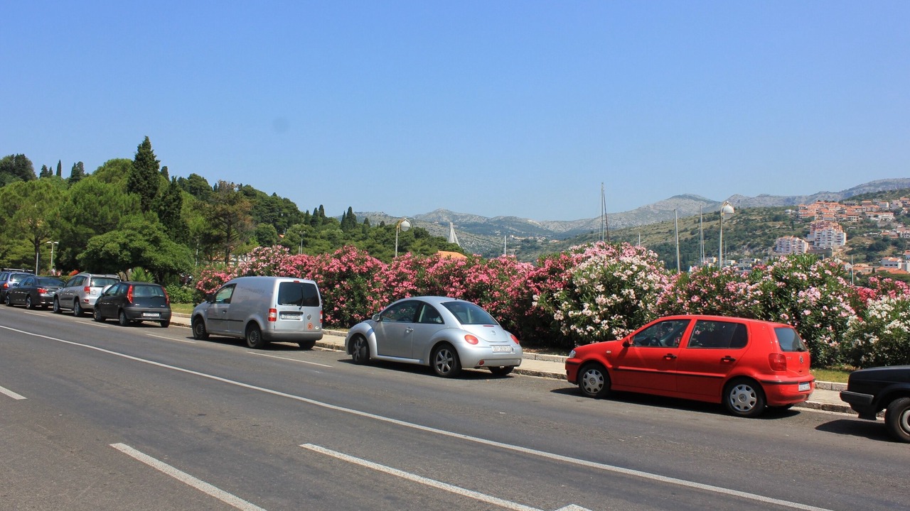 Photo of Others in Dubrovnik