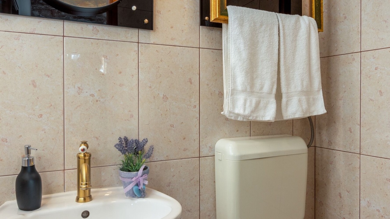Photo of Bathroom in Loborika