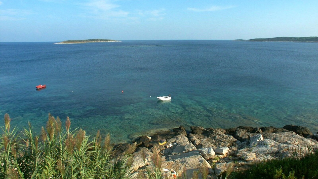Photo of Others in Milna