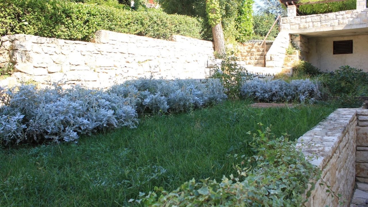 Photo of Outdoor in Borik