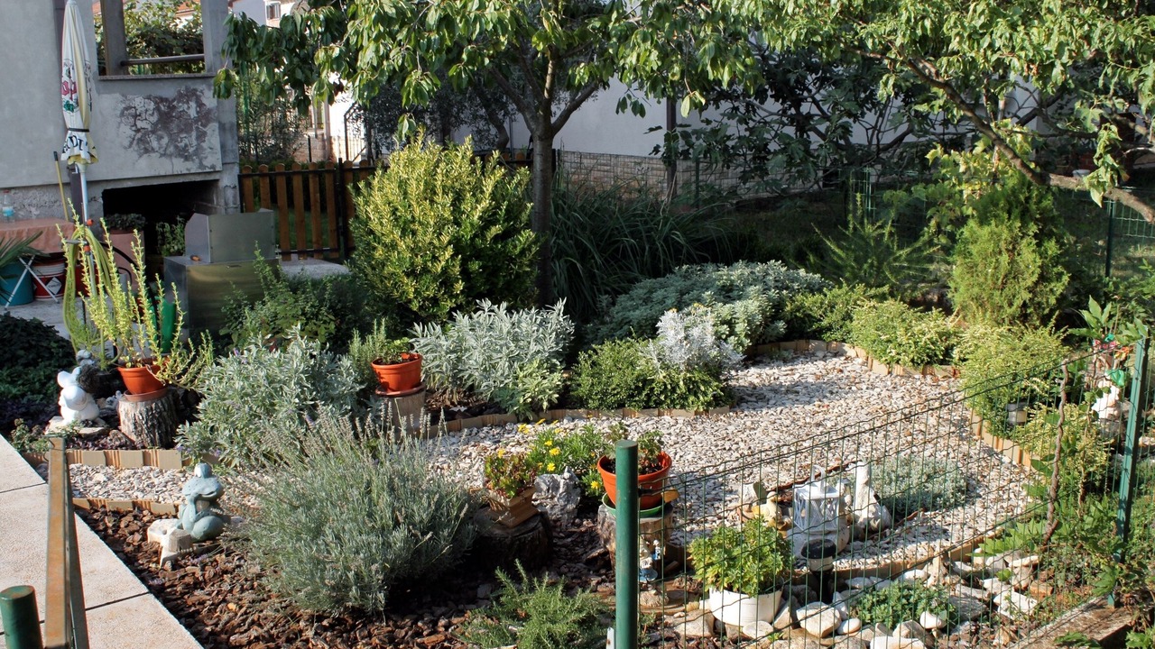 Photo of Outdoor in Murine