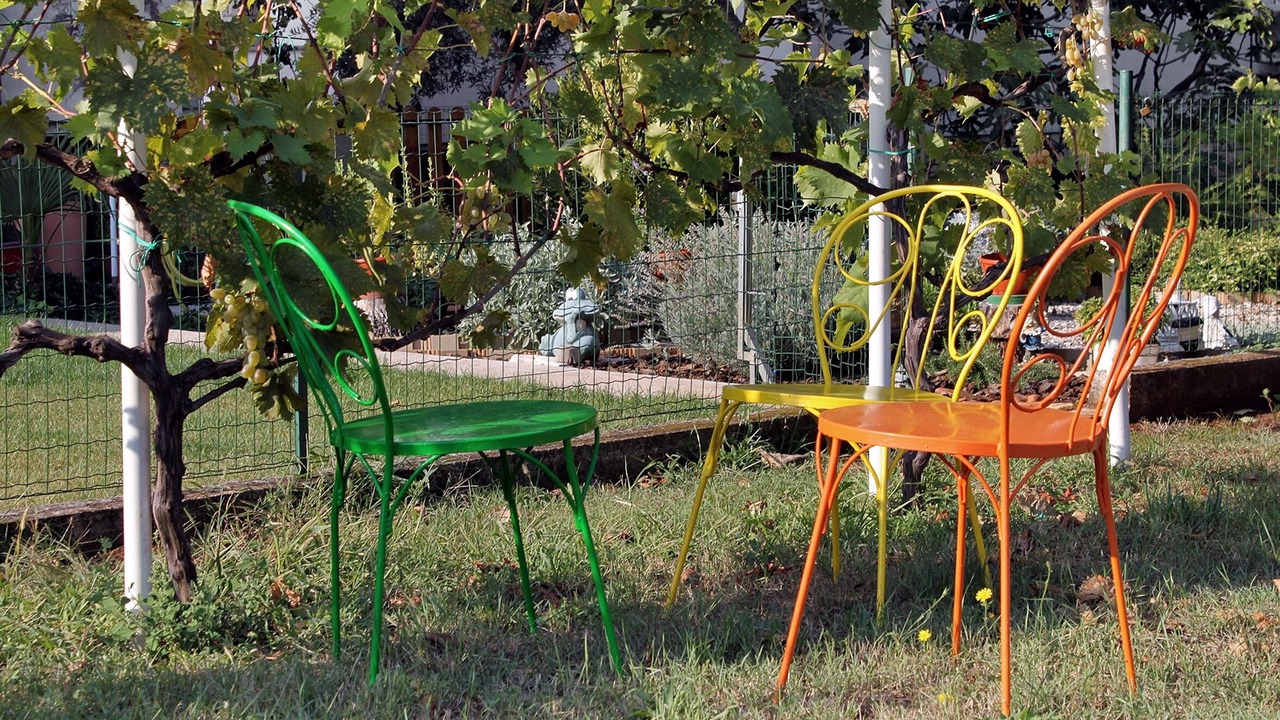 Photo of Outdoor in Murine