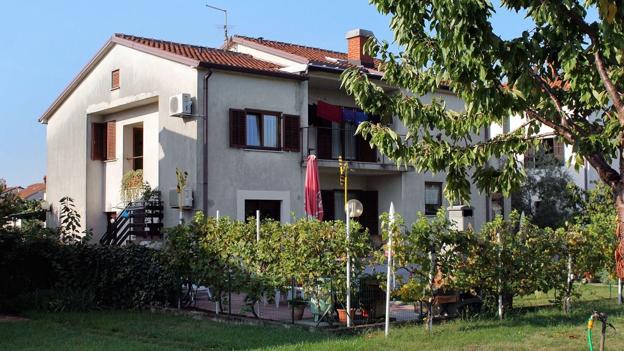 Photo of Outdoor in Murine