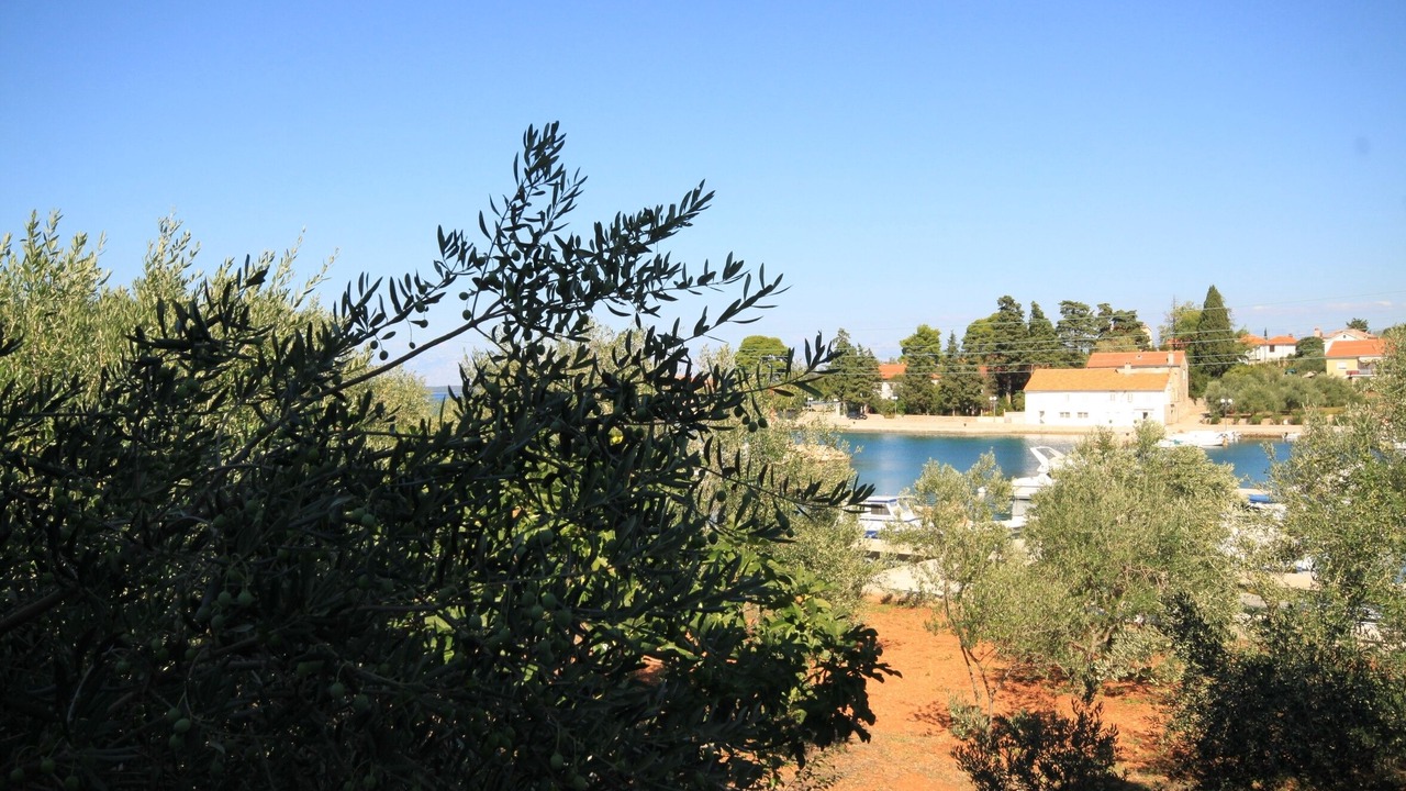 Photo of Others in Lukoran