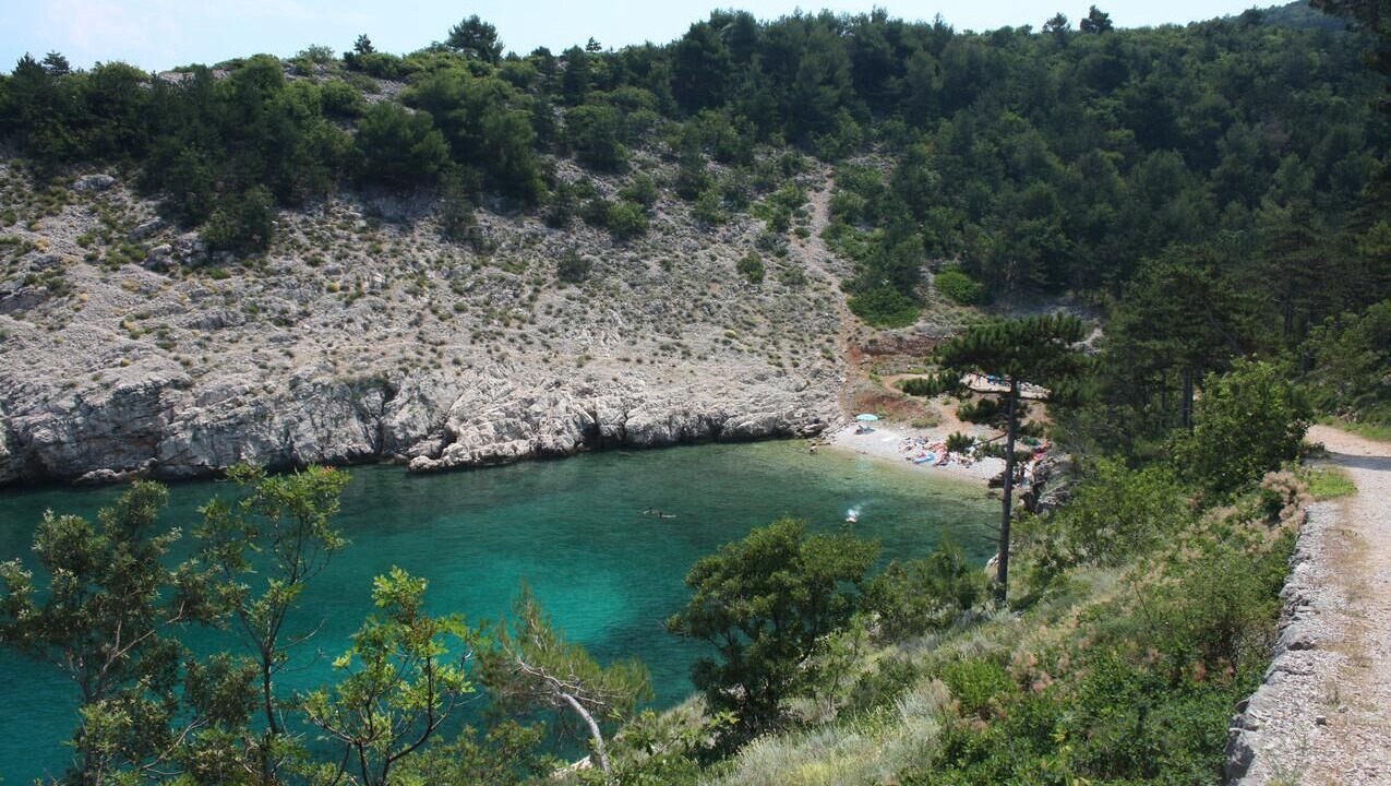 Photo of Others in Vrbnik