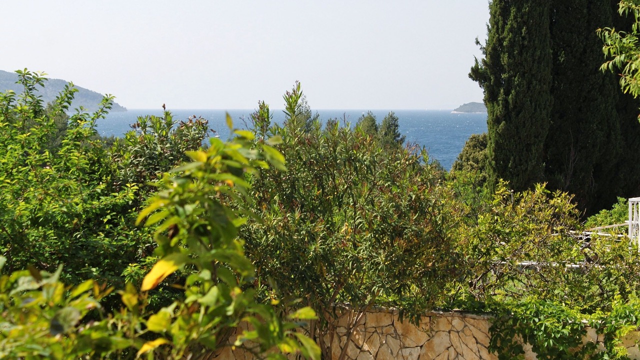 Photo of Others in Stari Grad