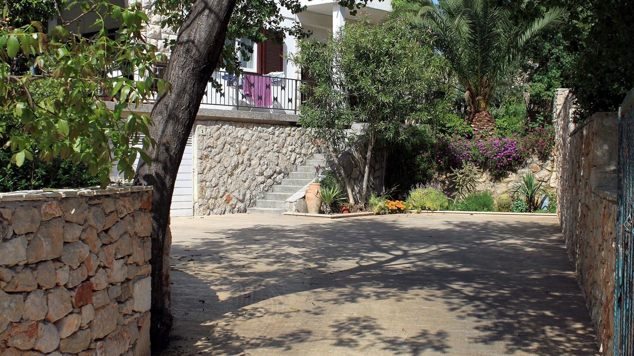 Photo of Others in Stari Grad