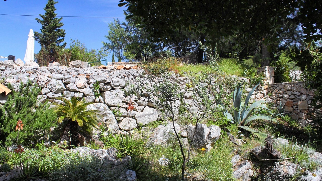 Photo of Others in Stari Grad