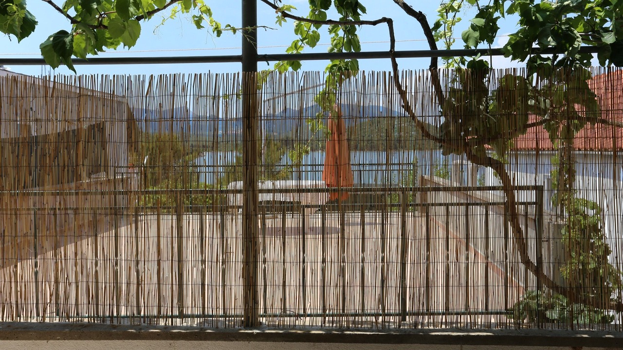 Photo of Others in Dubrava