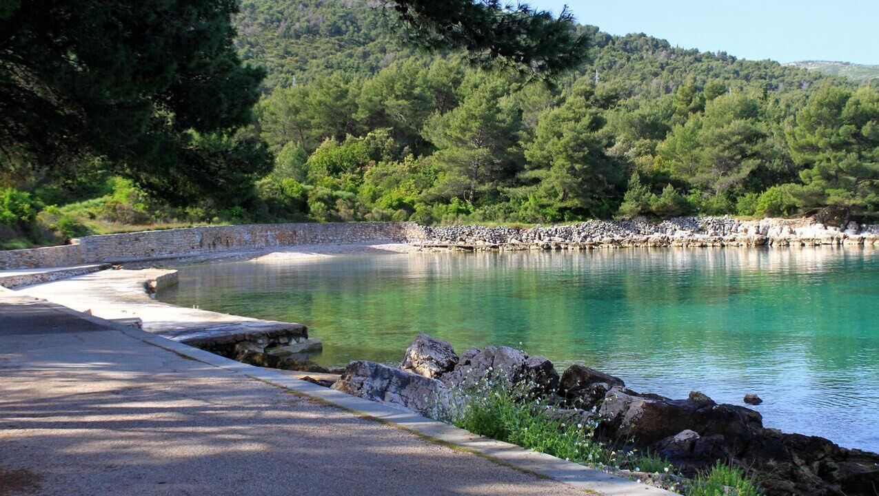 Photo of Others in Stari Grad