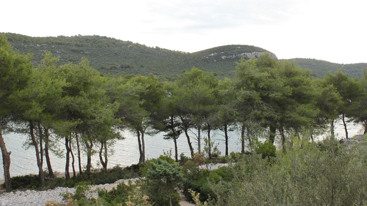 Photo of Others in Municipality of Kali