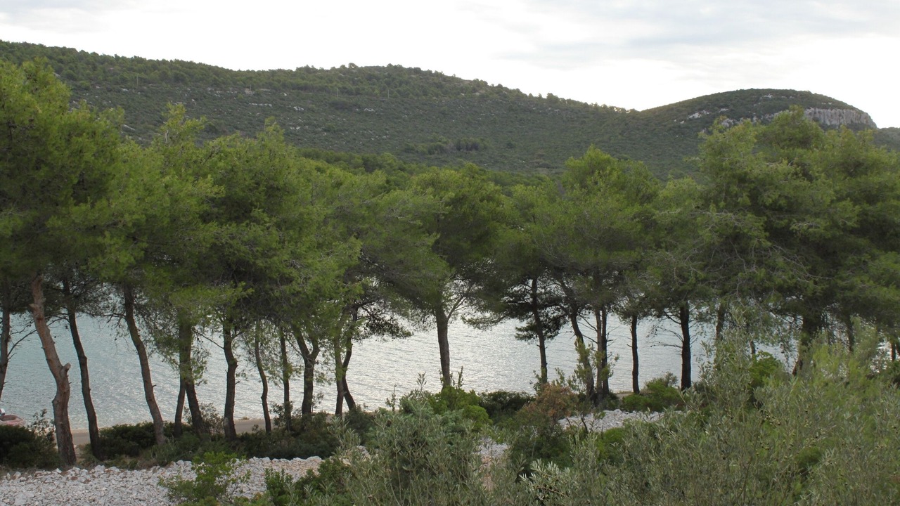 Photo of Others in Municipality of Kali
