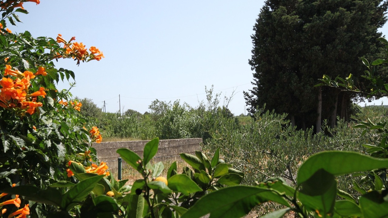 Photo of Outdoor in Susica