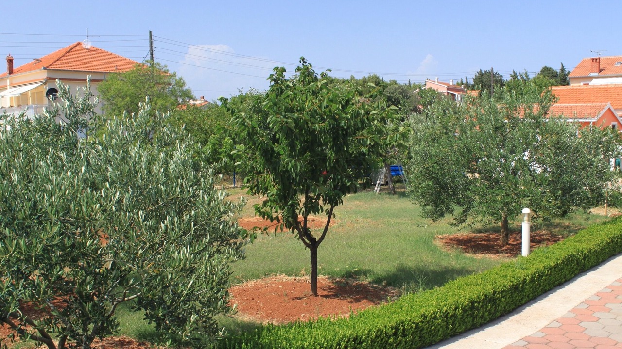 Photo of Outdoor in Susica