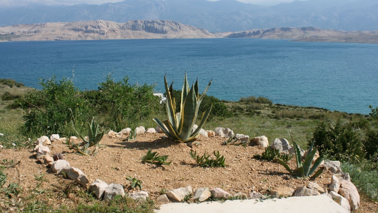 Photo of Outdoor in Bosana