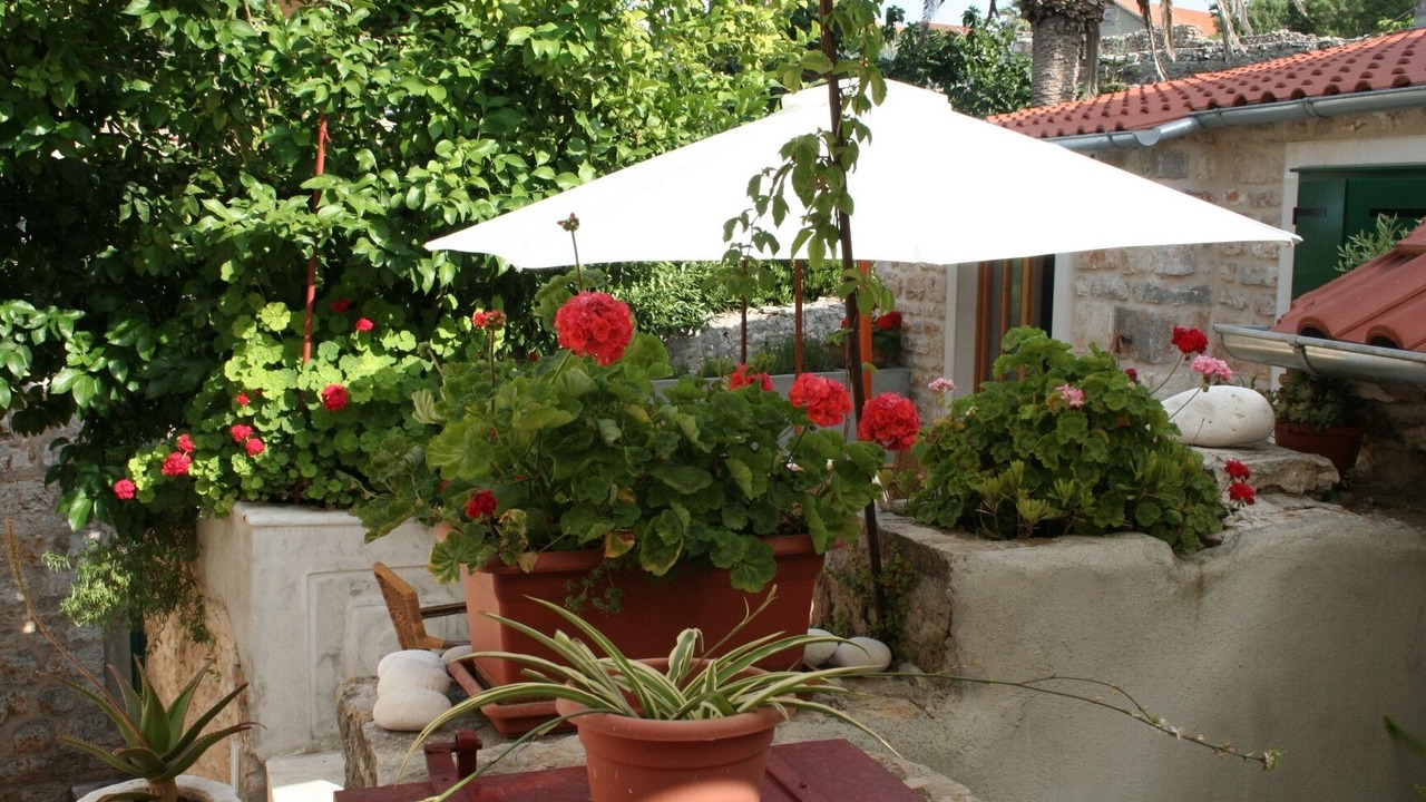 Photo of Outdoor in Vrboska