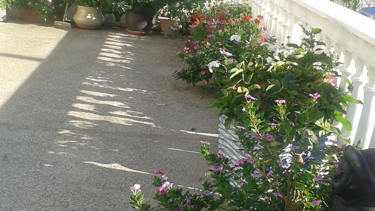 Photo of Outdoor in Zivogosce