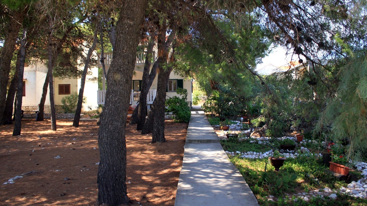 Photo of Outdoor in Sevid