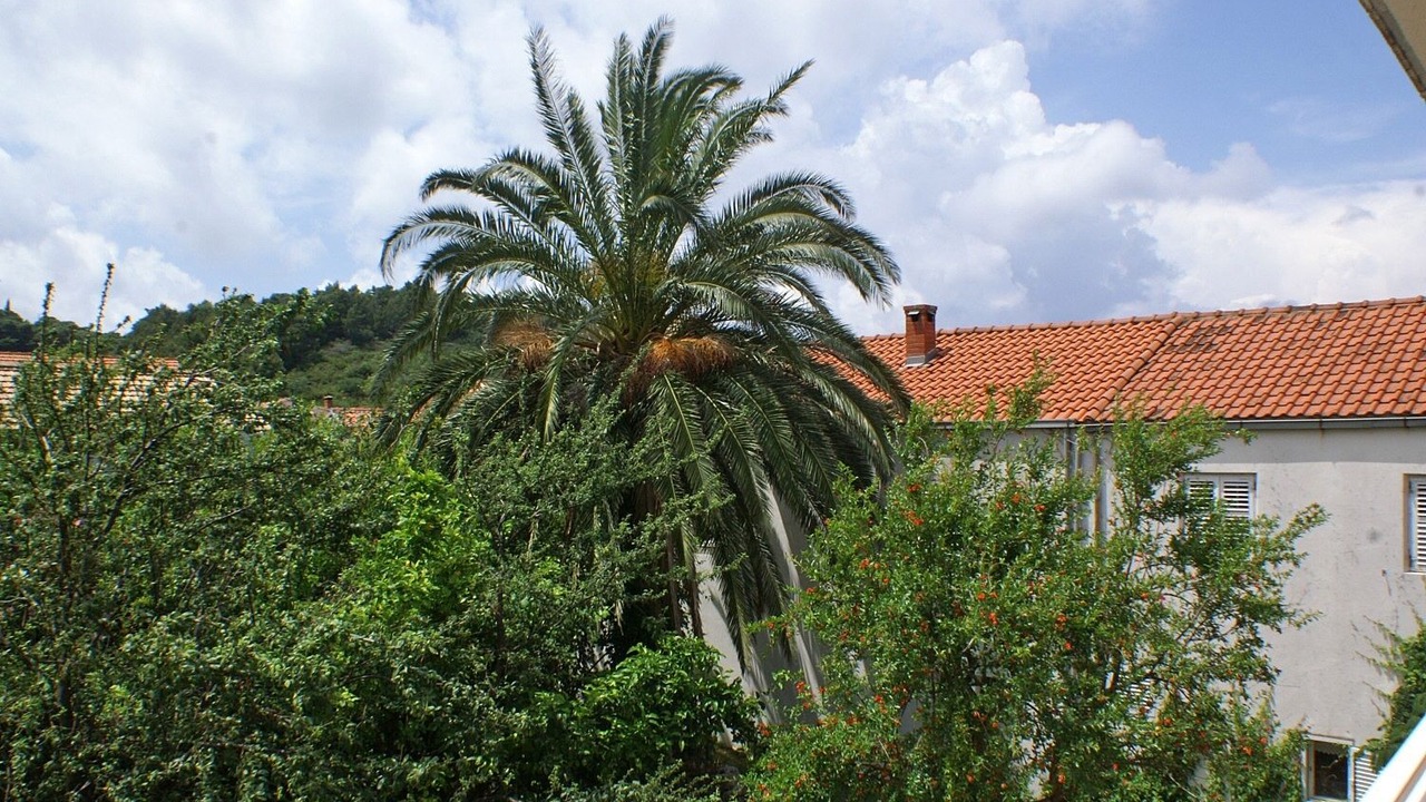 Photo of Patio Balcony in Zuljana