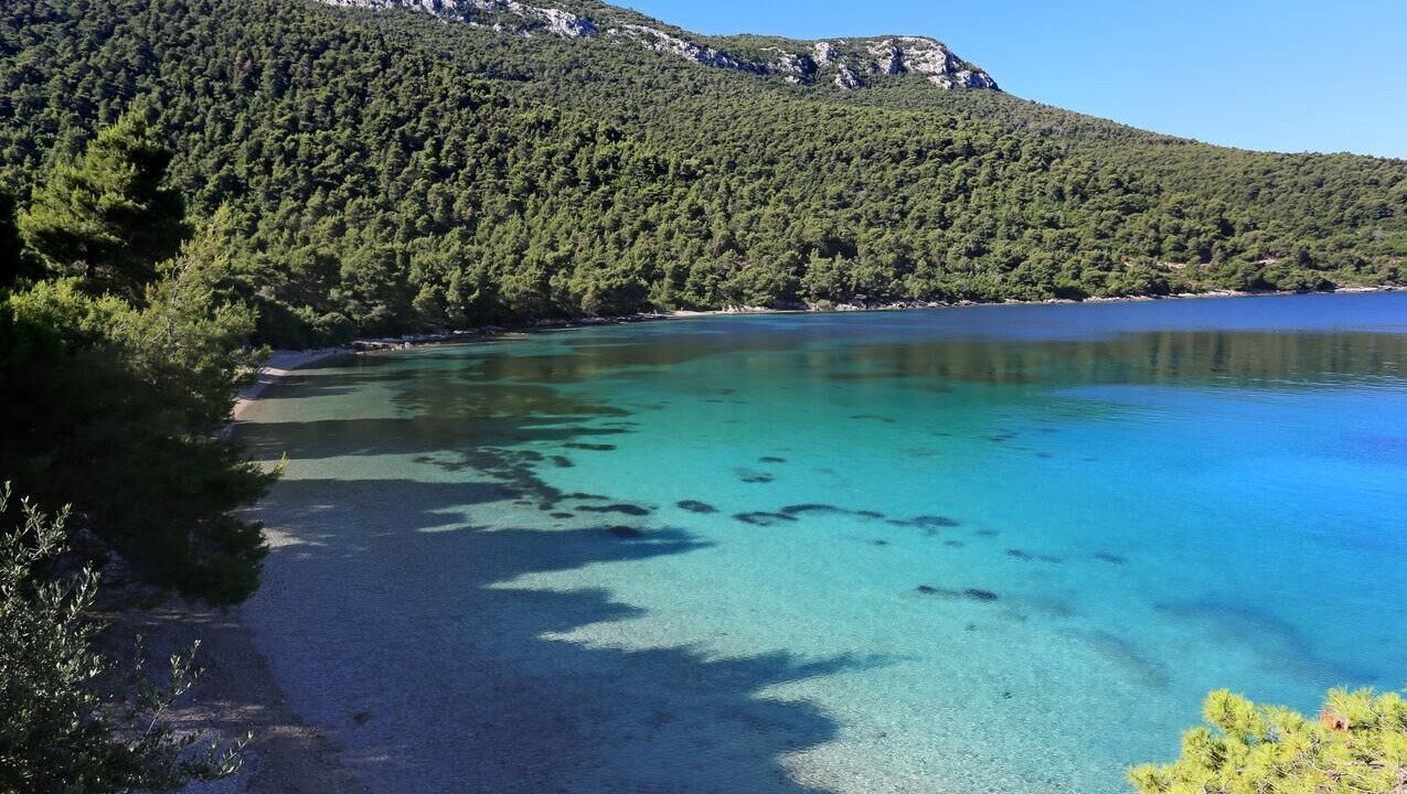 Photo of Others in Zuljana