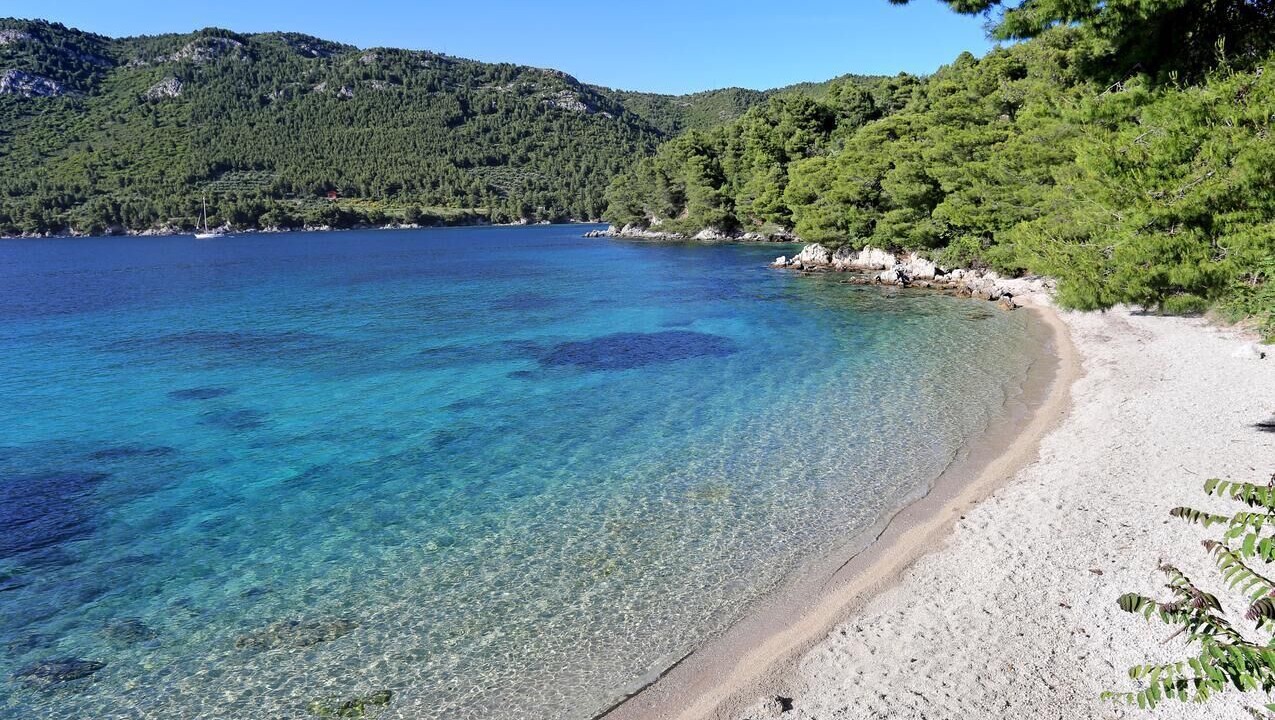 Photo of Others in Zuljana