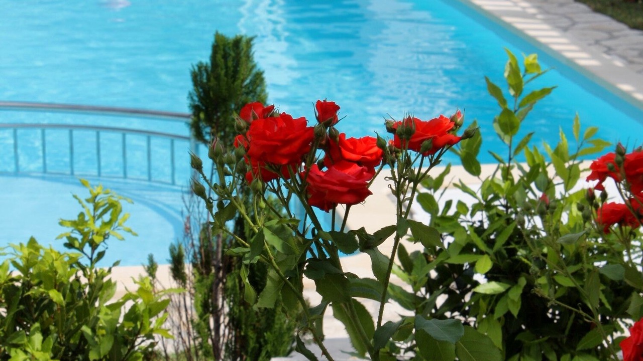 Photo of Outdoor in Kampor