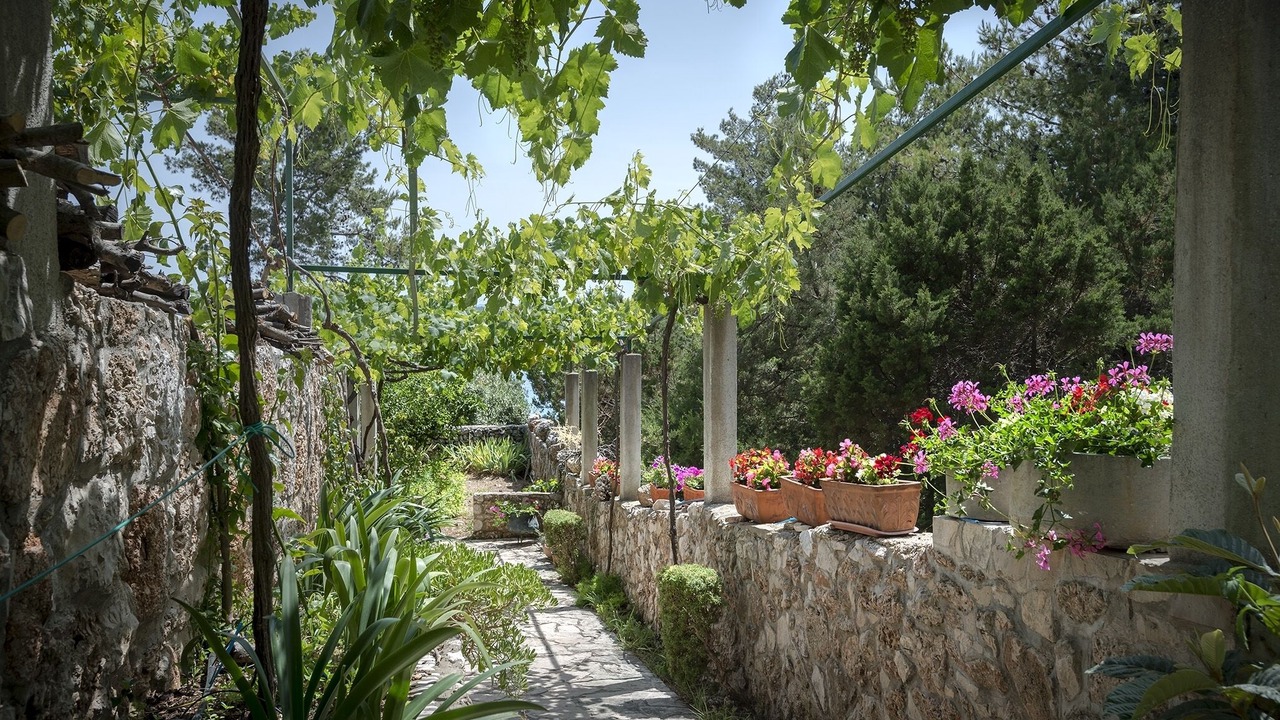 Photo of Outdoor in Zavala