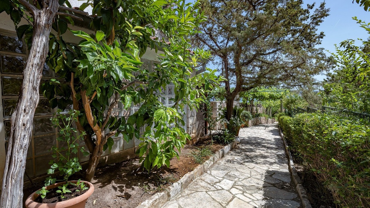 Photo of Outdoor in Zavala