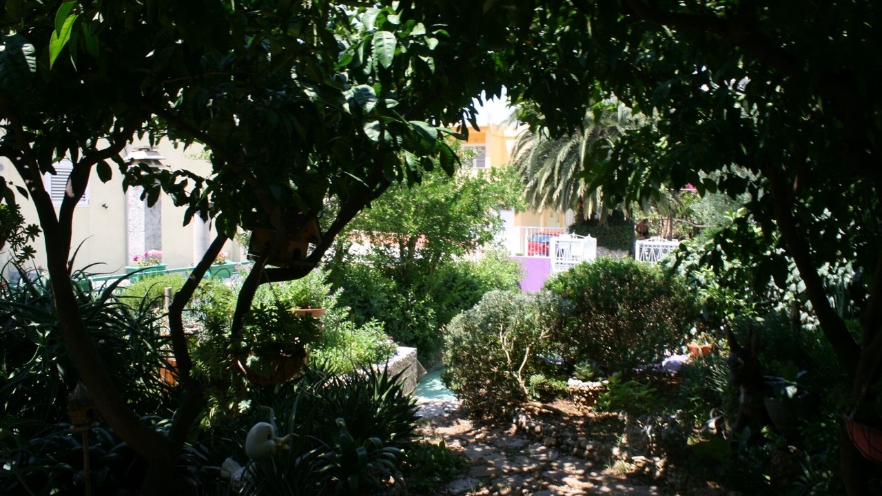 Photo of Others in Ratac