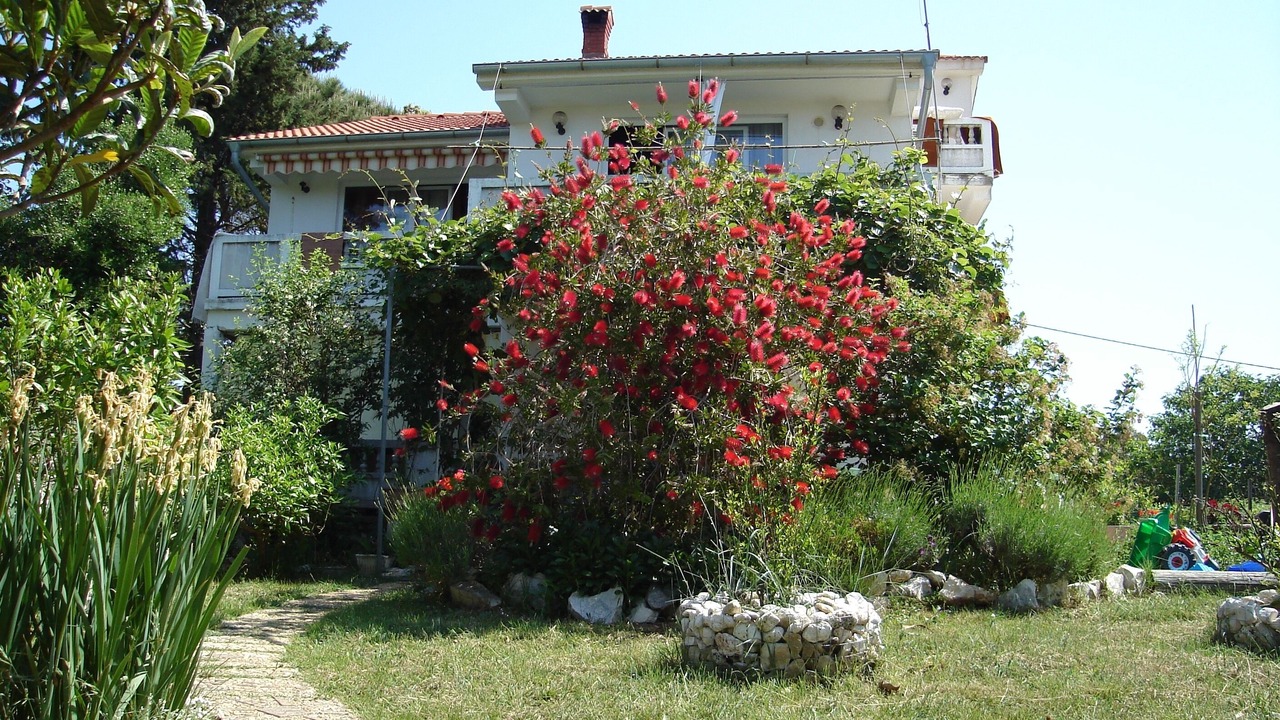 Photo of Outdoor in Suha Punta