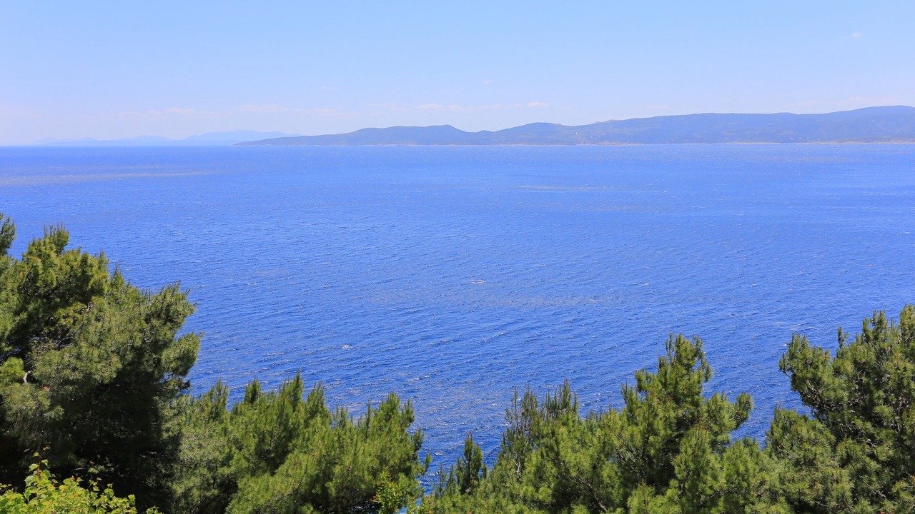 Photo of Others in Marusici