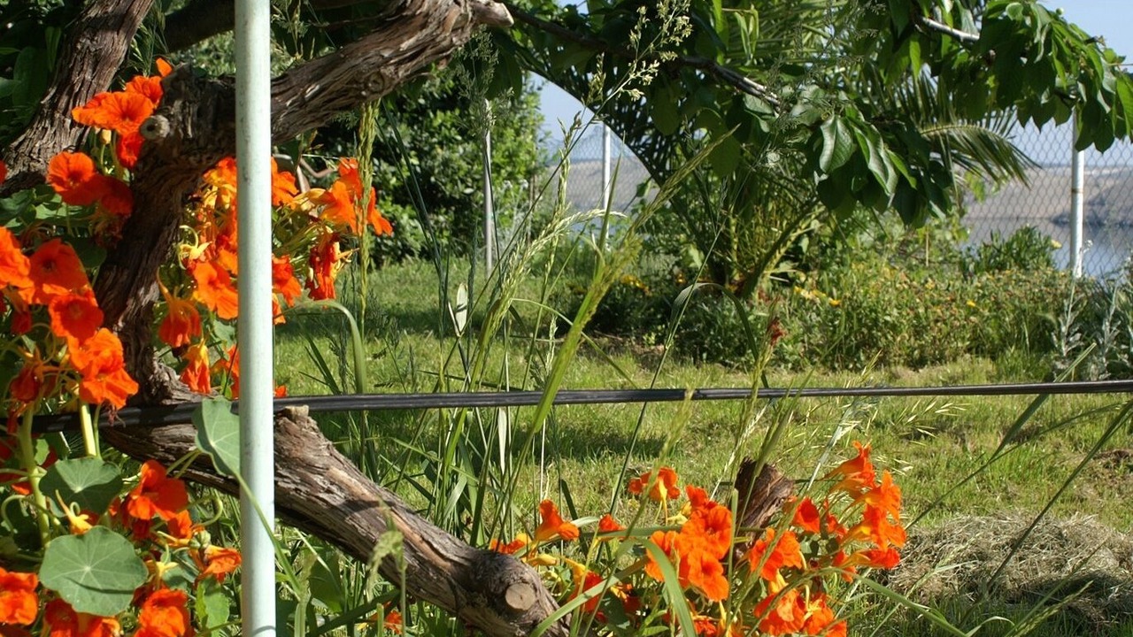 Photo of Outdoor in Vlasici