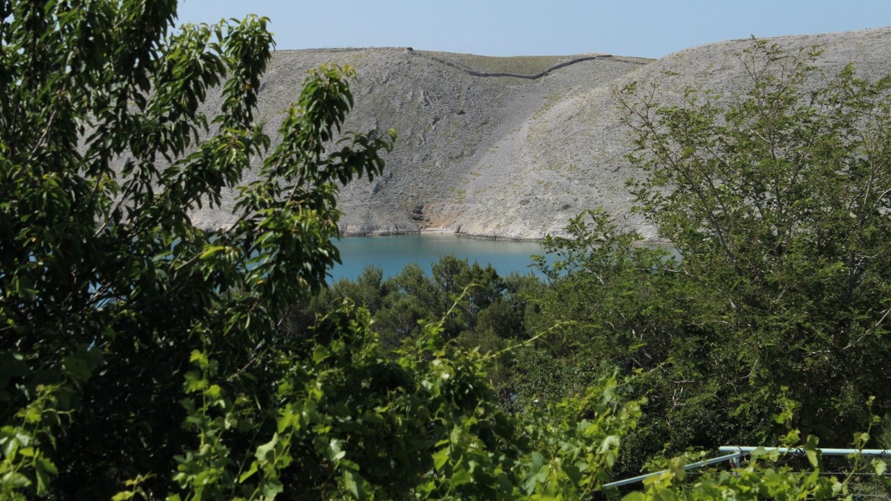 Photo of Others in Vlasici