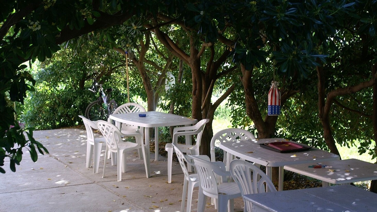 Photo of Outdoor in Vlasici