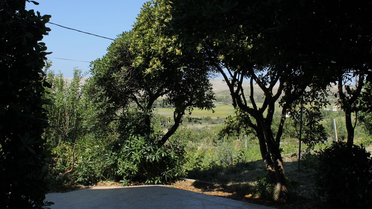 Photo of Others in Vlasici