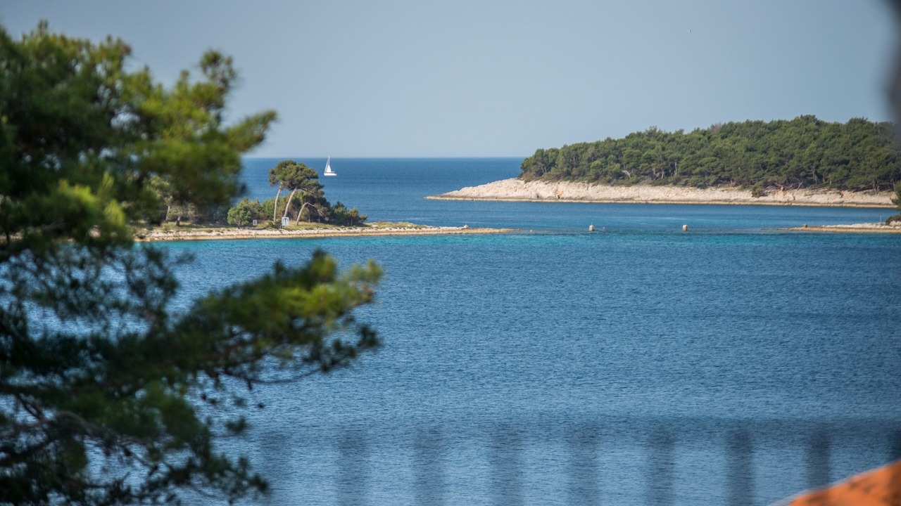 Photo of Others in Cove Murtar