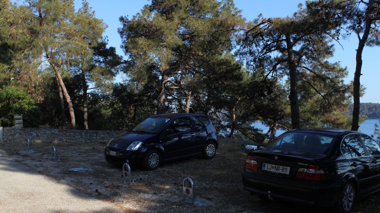 Photo of Others in Cove Murtar