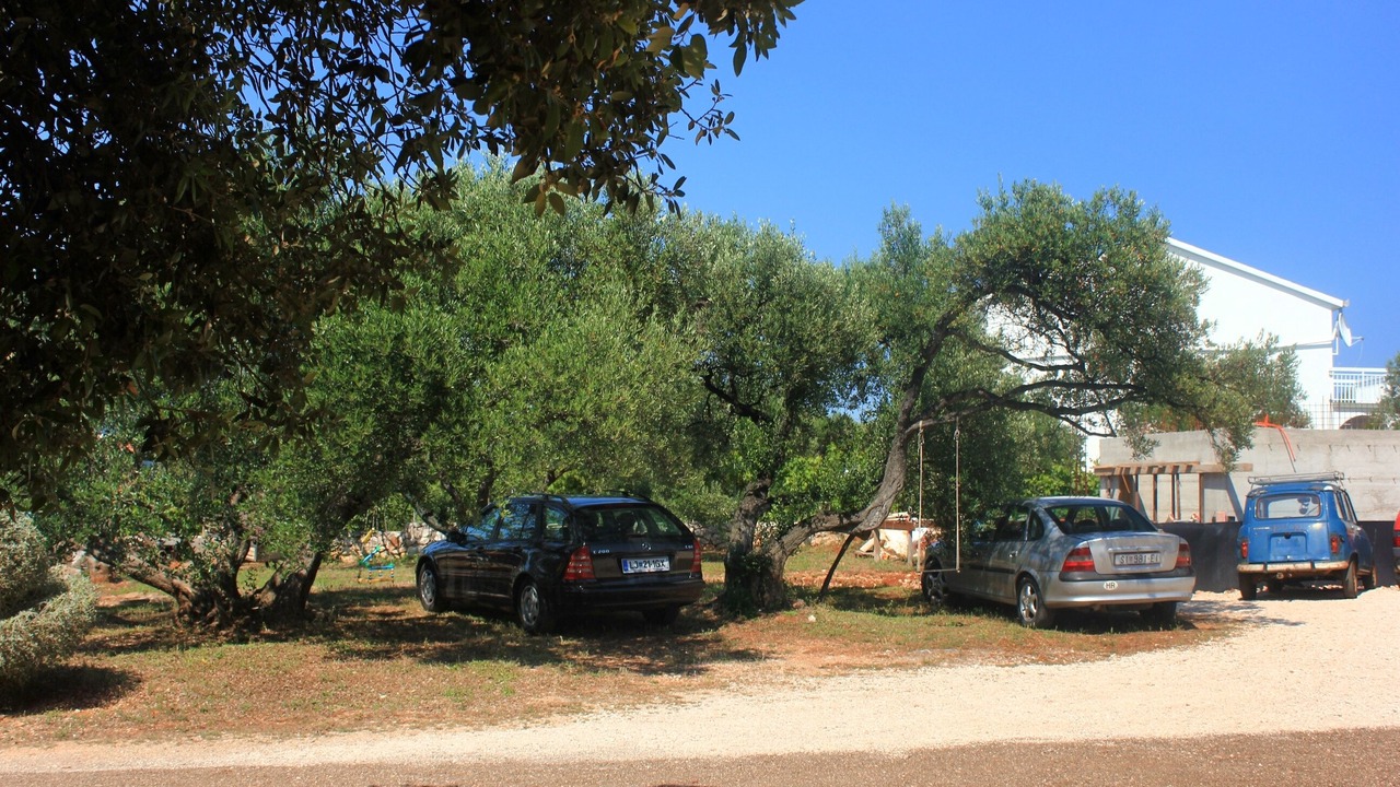 Photo of Others in Loviste