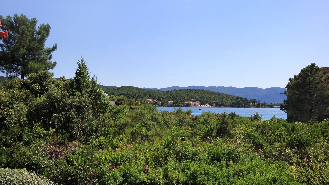 Photo of Others in Loviste